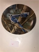 Bluejay Plate