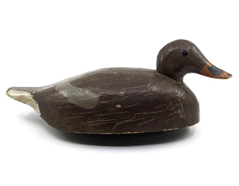 Duck Decoy