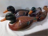 Duck collection