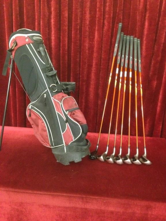 Gezamenlijk Kruiden Professor Penn FIReSET Iron Golf Clubs w/ Bag | Maple City Auction Services