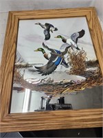 Very Nice Duck Mirror