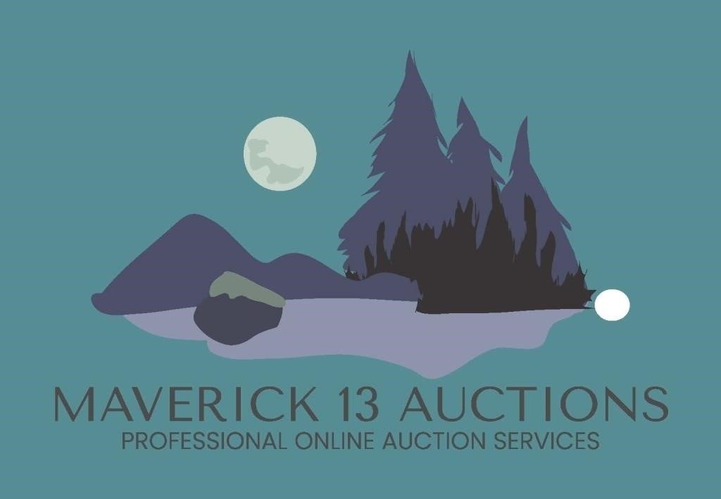 Our Next Great Auction in Hot Springs, SD