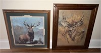Deer and Moose Prints