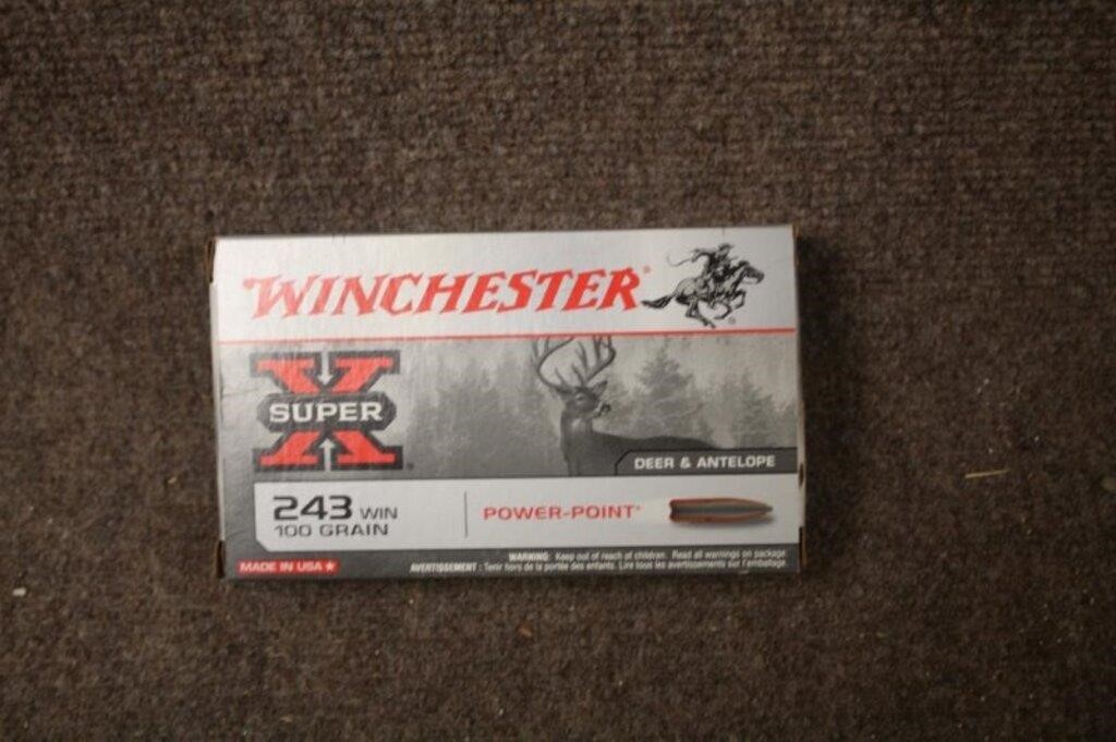 (20) Rounds Winchester .243 Power Pont