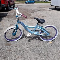 20" Schwinn Girls Bike