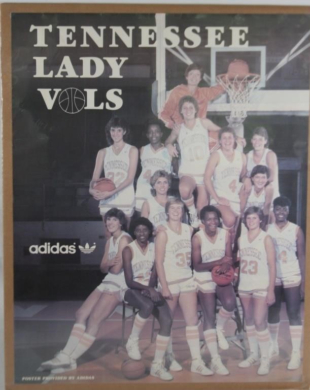 Lady Vols Poster