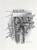 Ken Bucklew Signed Print Raccoon in Feeder 2001