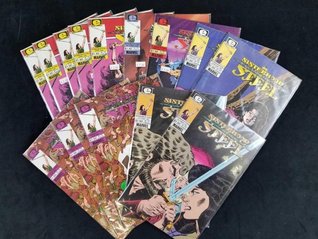 14 Issues Of The Sisterhood Steel Comics