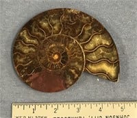 5" ammonite fossil   (a 7)