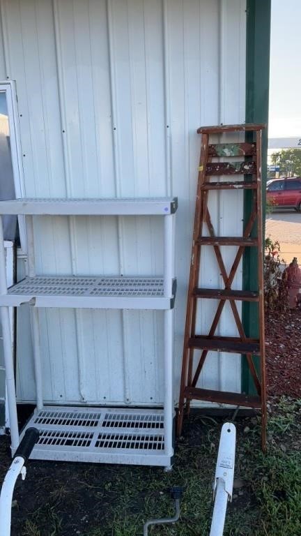 Plastic shelves and wooden ladder