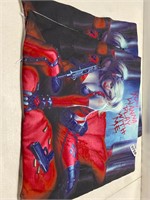 Harley Quinn Pillowcases