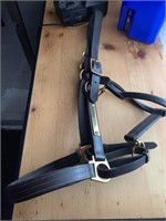 (Private) CLYDESDALE HALTER