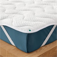 LINSY Queen Waterproof Mattress Protector