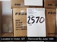 CASE OF (500) ROUNDS OF FEDERAL AMERICAN EAGLE