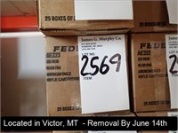 CASE OF (500) ROUNDS OF FEDERAL AMERICAN EAGLE