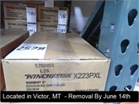 CASE OF (200) ROUNDS OF WINCHESTER X223 PXL