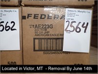 CASE OF (500) ROUNDS OF FEDERAL AMERICAN EAGLE