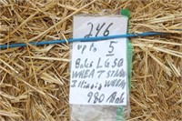 Straw-3x4 Lg.squares-Wheat
