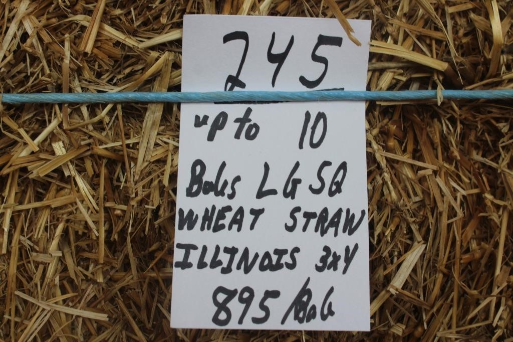 Hay, Bedding & Firewood Auction#23 (6/5/2024)