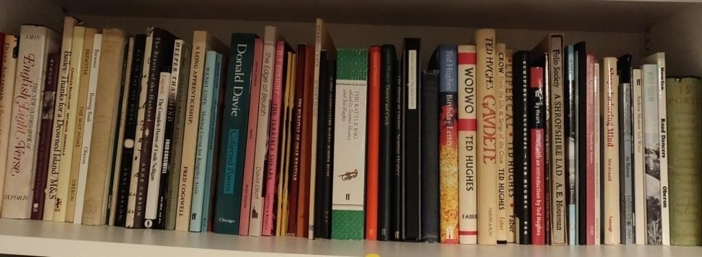 Books incl. Gaudette, Wodwo, Donald