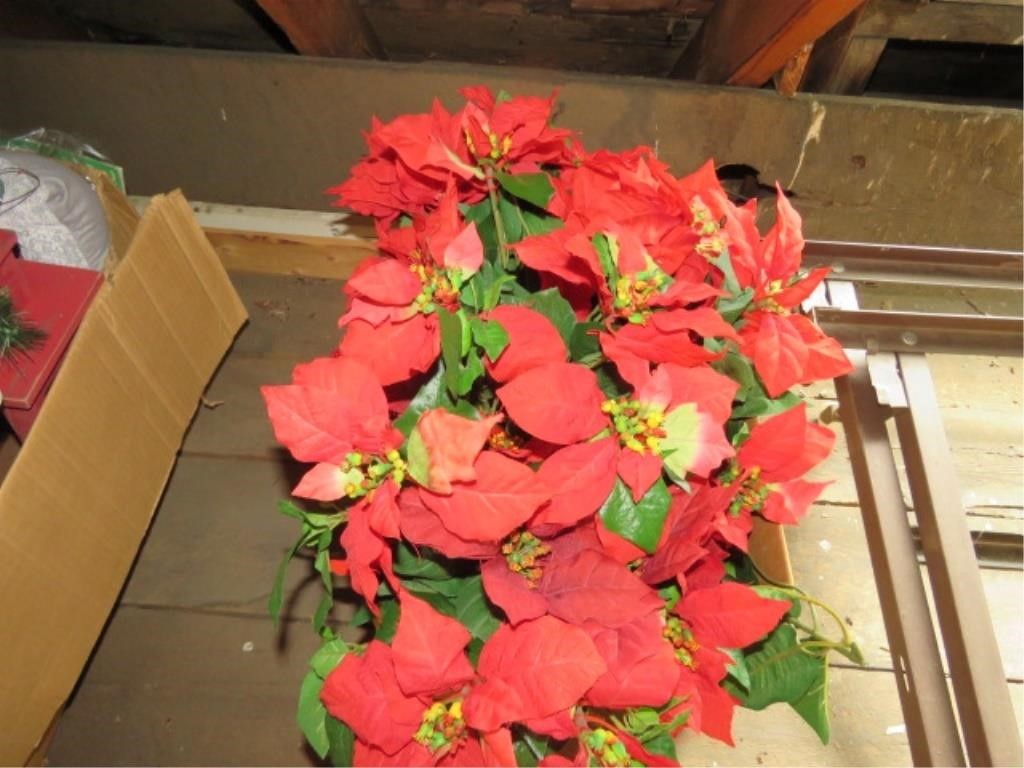 BOX OF POINSETTIA