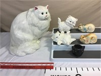 Cat Collection