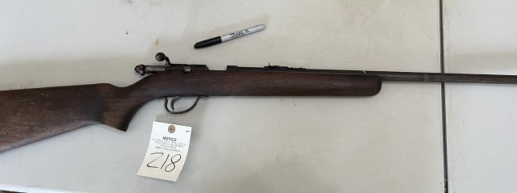 Remington .22 short or long rifle