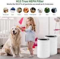 GoKBNY 1-Pack HEPA Replacement Filter Compatible