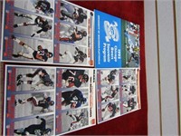1993 Chicago bears souvenir program and card set.