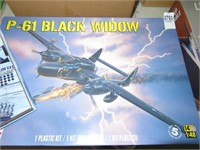 aircraft book, new p61 black widow model