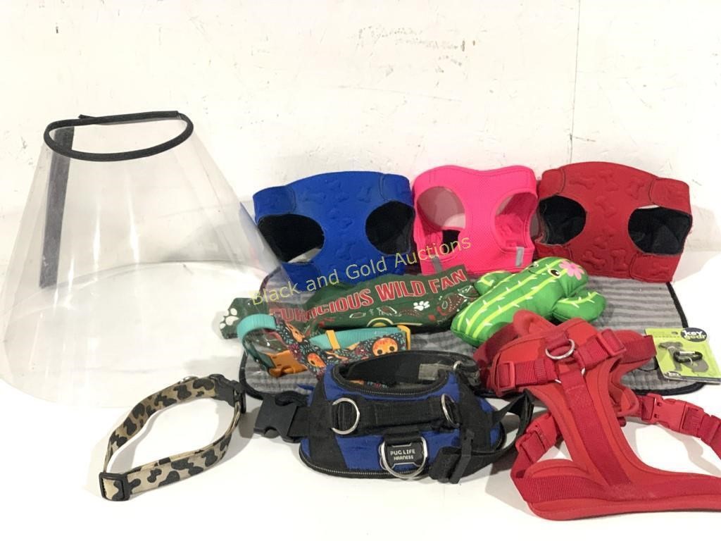 Medium to Large Dog Accessories Lot