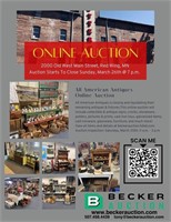 Auction Preview & Information
