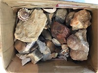 Box of rocks, Geodes, specimens, fossils possibly