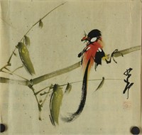 WC Bird Painting on Paper Zhao Shaoang 1905-1998