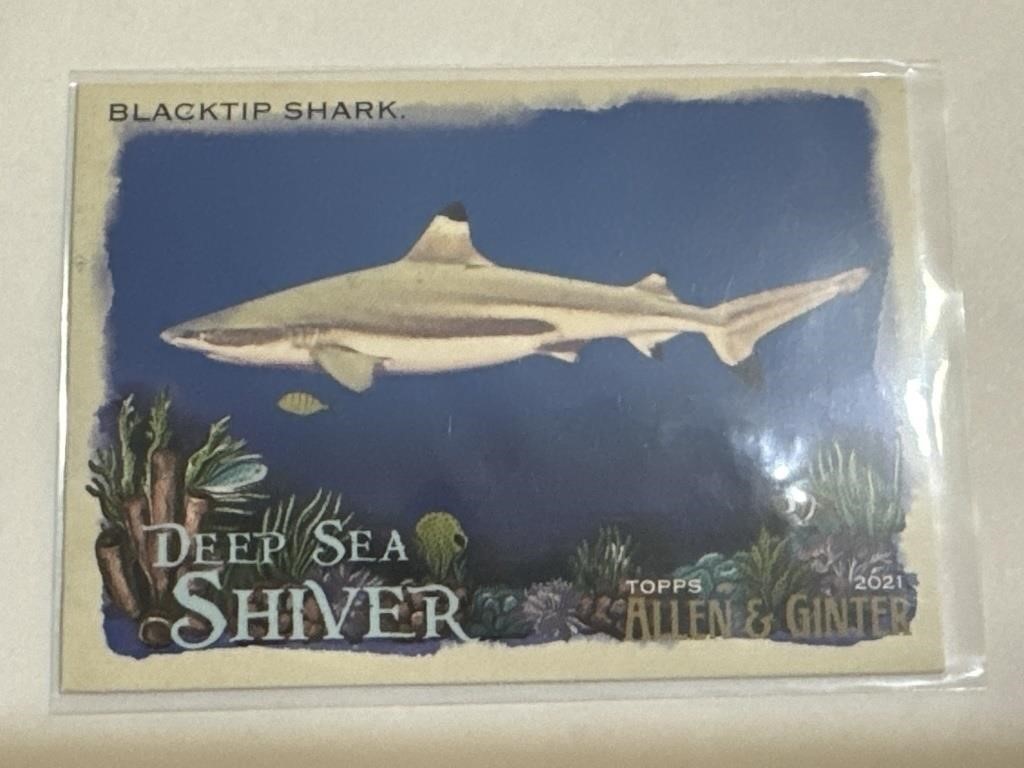 2021 Topps Allen & Ginter #DSS-8 Blacktip Shark!