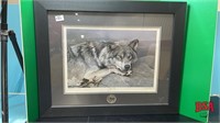 Framed Picture -"Time Out" Wolf, Ducks Unlimited