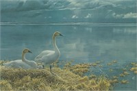 Robert Bateman Signed & numbered print "White Hori