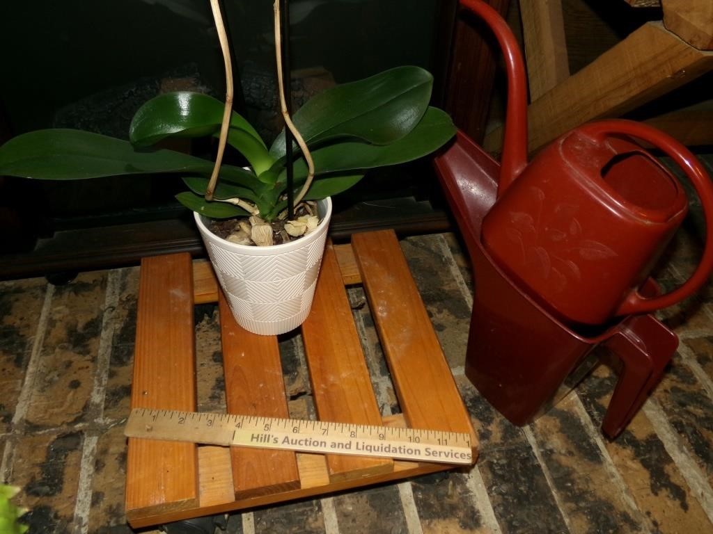 Plant Lot (Incl. Watering Cans)