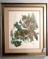 Coyote Print by Richard Timm Professionally