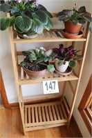 (4) Live Plants with Plant Stand(R2)