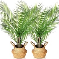 Kazeila 2 Pack  30" Potted Paradise Palm Plant