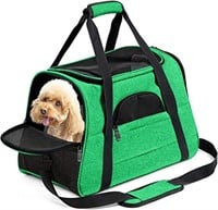 *Airline Approved Pet Carrier-Green