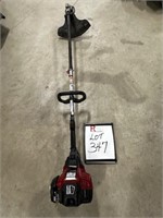 Speed Start 4 Cycle Weedwacker