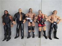 Wrestling Actions Figures Lot 5 Stars Triple H