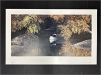 Liz Lesperance's "Mystical Shadows - Common Loon"