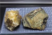 1 Opalized Petrified Wood Chunk, 1 Unknown