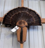 Turkey Tail & Beard on Plaque