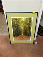Framed Forest Art