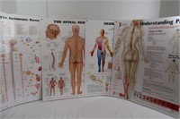 Medical Posters