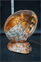 Abalone? Shell Lamp